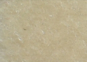 F153_141-60.jpg