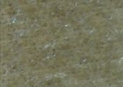 F156_138-63.jpg