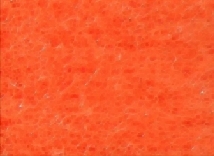 F239_55-146.jpg
