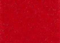 F262_32-169.jpg