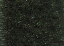 F269_25-176.jpg