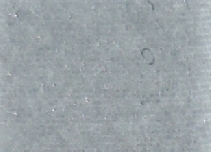F273_21-180.jpg