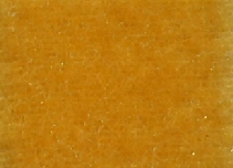 F286_8-193.jpg